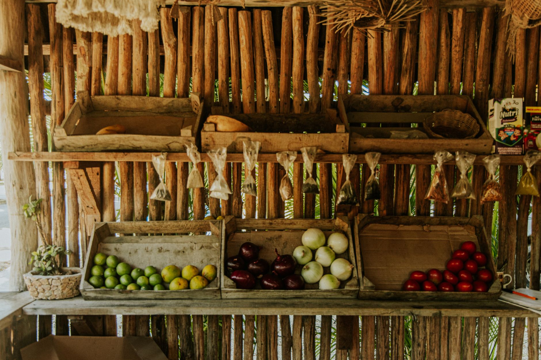 Cageots de légumes du marché, tomates et herbes fraîches du Lavaux